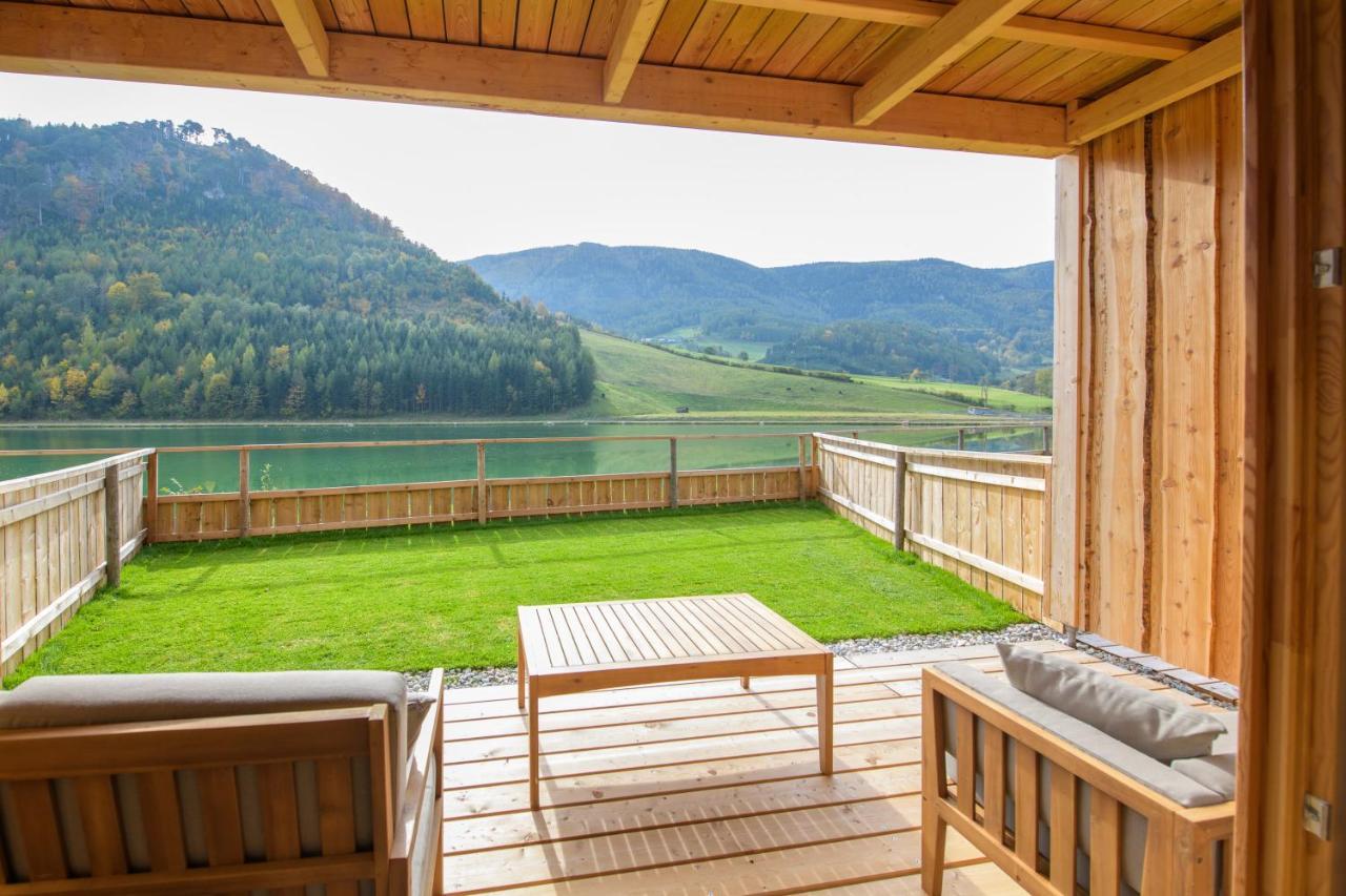 Am Schneeberg Apartment Puchberg am Schneeberg